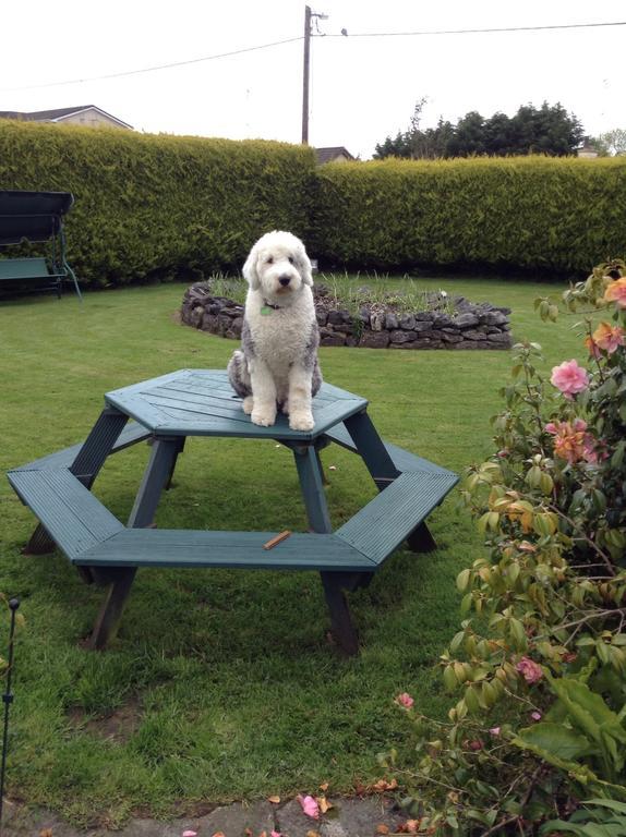 Riverwalk House B&B Oughterard Ruang foto