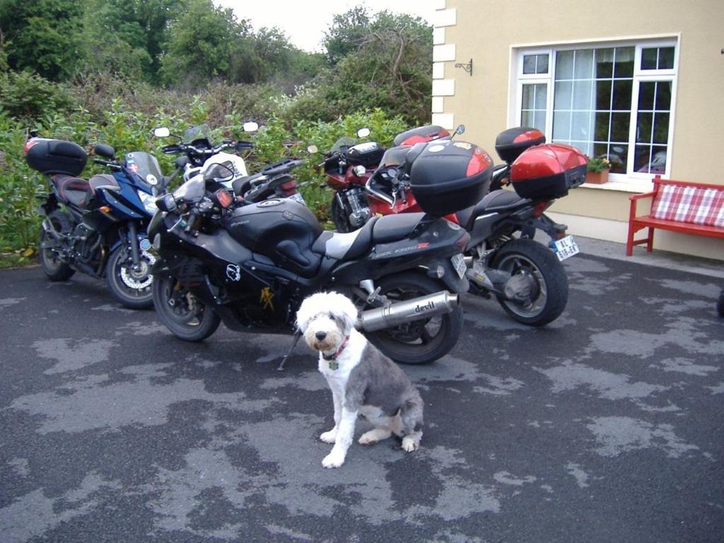 Riverwalk House B&B Oughterard Bagian luar foto