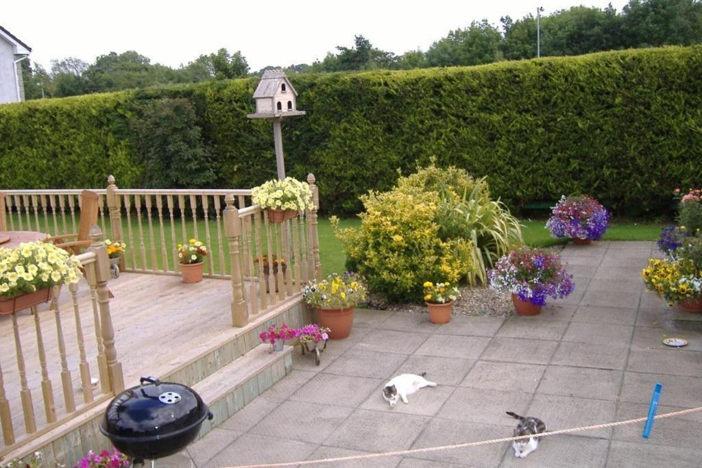 Riverwalk House B&B Oughterard Bagian luar foto