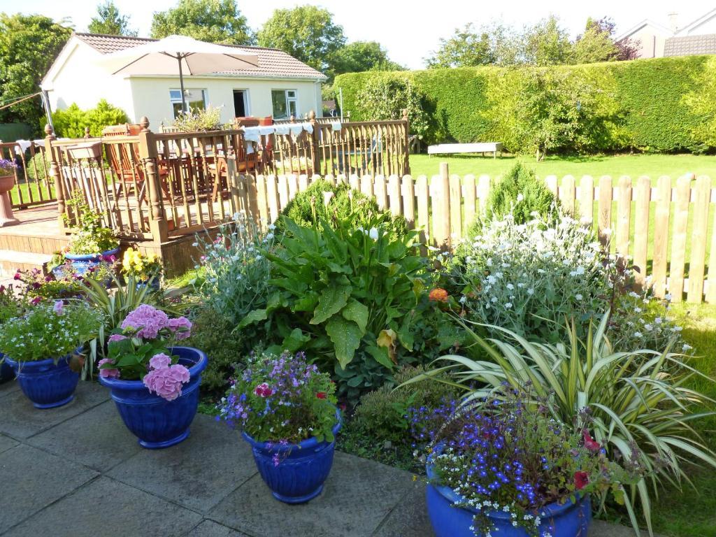 Riverwalk House B&B Oughterard Bagian luar foto