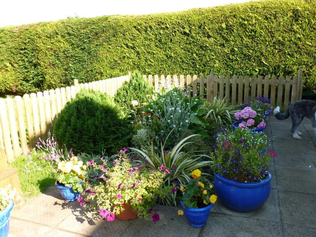 Riverwalk House B&B Oughterard Bagian luar foto