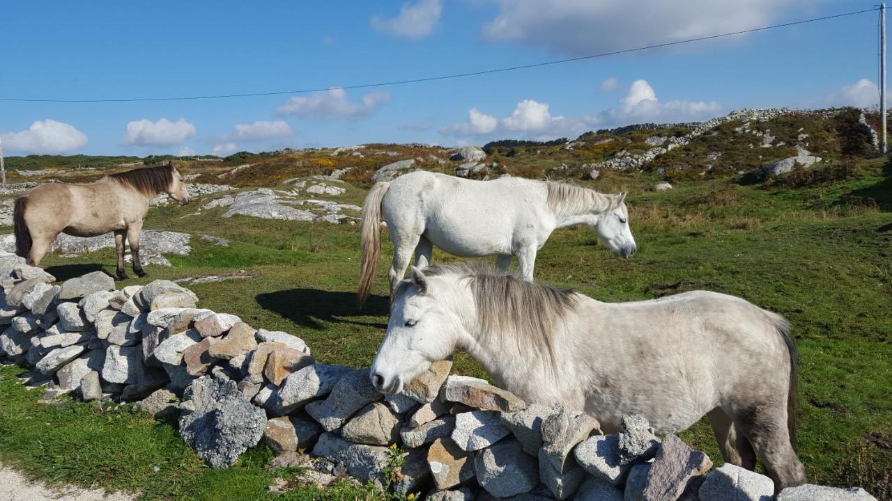 Riverwalk House B&B Oughterard Bagian luar foto